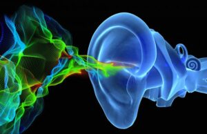 Прорыв в нейробиологии: ученые раскрыли механизм превращения вибраций в звук