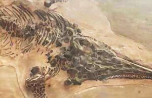 Ученые нашли две копии скелета знаменитого «рыбоящера», который был уничтожен нацистами