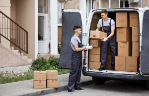 Услуги грузчиков: виды, условия обращения и преимущества