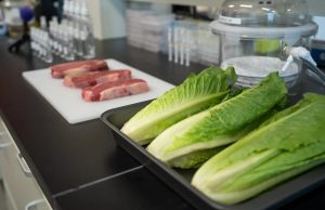 Спрей с вирусами безопасно очистит продукты от бактерий