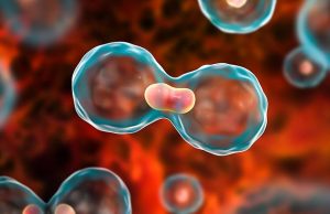 Американец, у которого диагностировали редкую форму рака, внезапно заговорил с ирландским акцентом