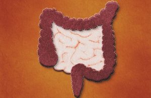 Ученые предупреждают: микрофлора человеческого тела вымирает — и это несет большие проблемы