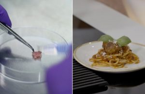 В Австралии изготовили ГМО-фрикадельки из мяса мамонта