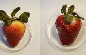 Покрытие из каннабидиола надолго сохранит фрукты свежими