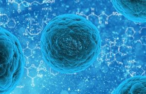 Ученые из Казани разработали методику лечения спинного мозга