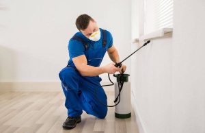 Уничтожение тараканов: эффективные способы и средства борьбы