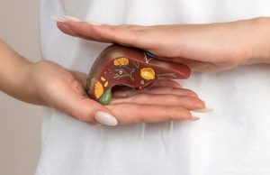 В РХТУ предложили лечить цирроз печени с помощью аэрогеля