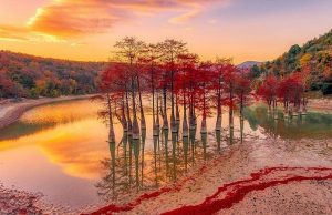 Лучшие гостиницы в Сукко: выбор туриста