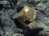 Ученые нашли на дне Тихого океана неизвестный золотистый объект