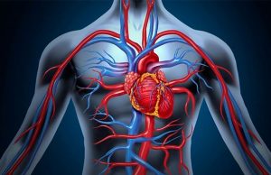 Самарскими учеными найден простой метод предупреждения инфаркта