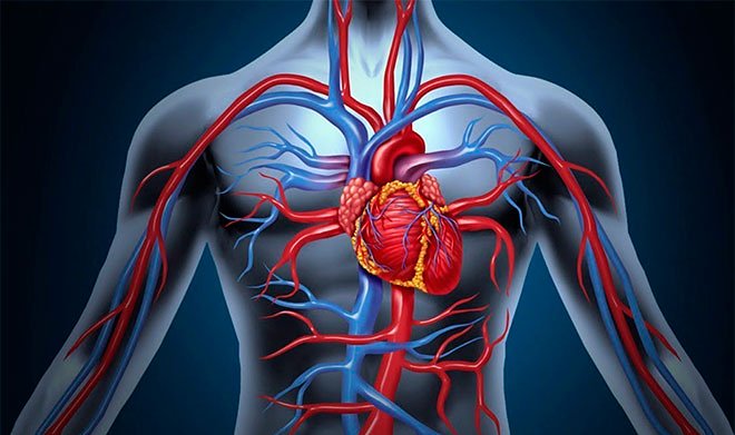 Самарскими учеными найден простой метод предупреждения инфаркта 