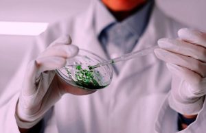 В РФ создан заживляющий аэрогель из водорослей и крабов