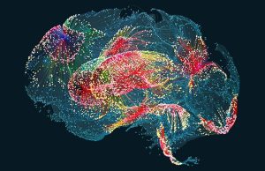 ИИ научился распознавать мысли человека без мозговых имплантатов