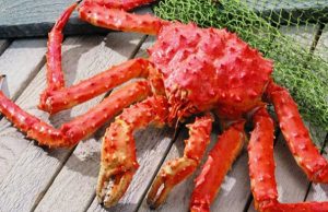 ДВФУ с группой компаний «Русский краб» создадут биодобавки из краба