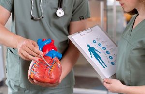 Новосибирские хирурги тестируют самораскрывающийся сердечный клапан