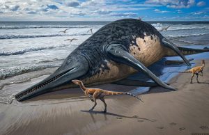 Самый большой морской динозавр мог потягаться размерами с синим китом
