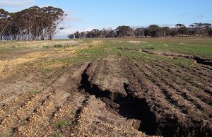 Ученые МГУ предложили бороться с эрозией почвы при помощи полимеров