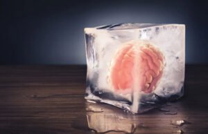 Фрагмент человеческого мозга сохранил работоспособность после заморозки на 18 месяцев