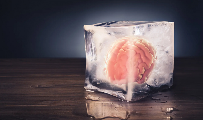 Фрагмент человеческого мозга сохранил работоспособность после заморозки на 18 месяцев 