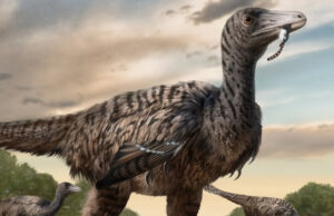 Гигантский древний раптор имел ноги выше человеческого роста