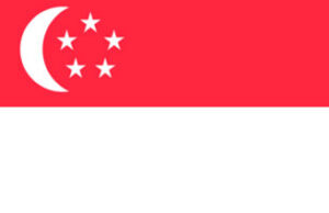 Визы в Сингапур: разновидности, правила оформления