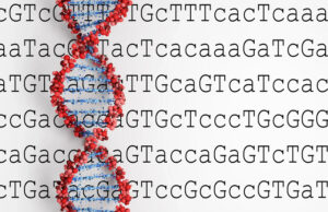 Ученые нашли суперорганизм, геном которого в 50 раз превосходит человеческий