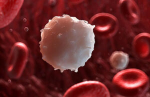 Нейросеть обучили определять уровень лейкоцитов с точностью до 90%