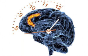 Наш мозг воспринимает время как череду событий, а не как работу часов