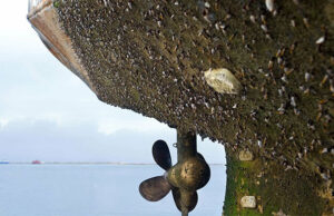 Разработка МГТУ им.Баумана защитит корабли от обрастания