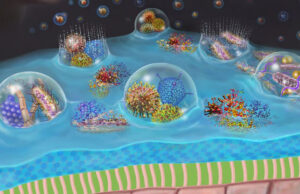 Спрей PCANS предотвращает многие респираторные болезни, запирая вирусы в носу пациента