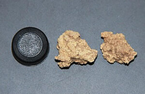 В Китае обнаружили древнейший сыр в мире, сделанный 3600 лет назад