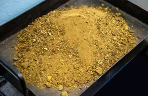 В Сибири предложили новую методику получения золота из отходов