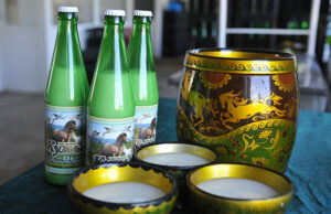 Новосибирские биологи придумали, как дольше хранить кумыс