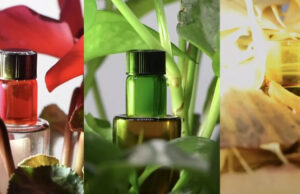 В Китае разработали материал-невидимку, который работает как кожа хамелеона