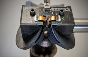 Научная гарнитура MouseGoggles погружает мышей в виртуальную реальность