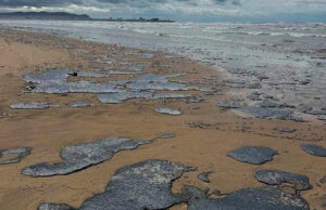 На Кубани выбрали самый эффективный способ очистки мазута