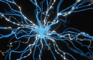 Биоинженеры научились превращать клетки кожи в мозговые нейроны