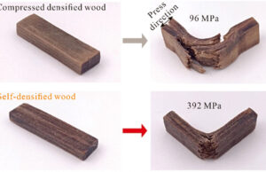 «Самоуплотненная» древесина может стать новым суперматериалом