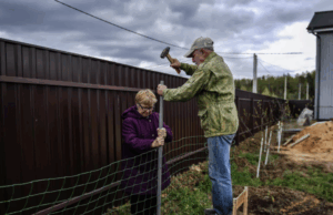 Адвокат Салкин: дачу нужно строить минимум в 3 м от соседнего участка