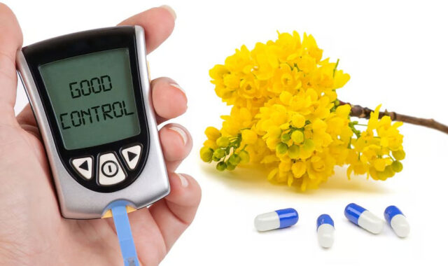 Натуральное лекарство из барбариса оказалось эффективным в лечении диабета