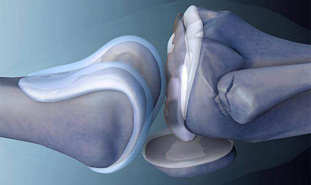 В Кабардино-Балкарии активно осваивают трехмерную биопечать имплантов