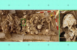 Странный конический череп из древнего захоронения озадачил ученых