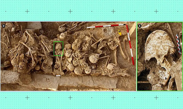 Странный конический череп из древнего захоронения озадачил ученых