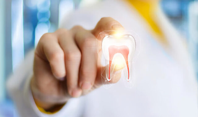 Биоинженеры научились выращивать искусственные зубы взамен утраченных