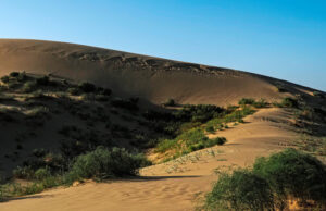 Власти Дагестана построят дорогу к самому большому в Европе песчаному бархану