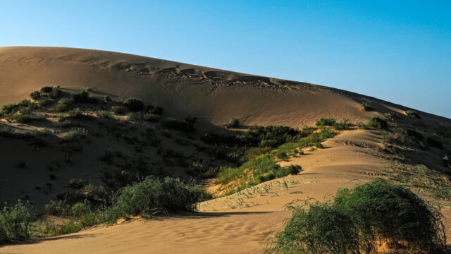 Власти Дагестана построят дорогу к самому большому в Европе песчаному бархану