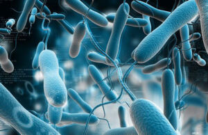 В Новосибирске разработали тесты для оперативного выявления коклюша