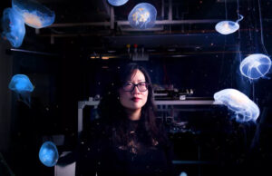 Кибер-медузы помогут исследовать глубины Мирового океана