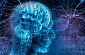 В Нижнем Новгороде тщательно изучили механизмы приступа эпилепсии