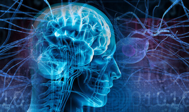 В Нижнем Новгороде тщательно изучили механизмы приступа эпилепсии